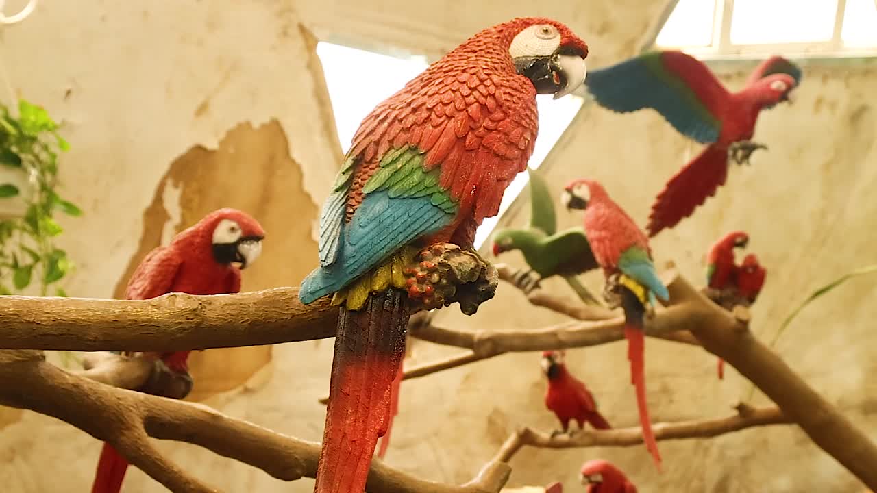 Vibrant red and green parrots rest on wooden branches within a bright indoor enclosure