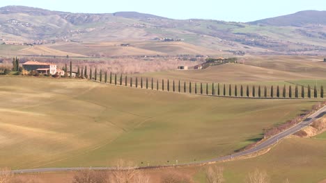 a wide shot of a farm villa with long rows of trees in tuscany italy