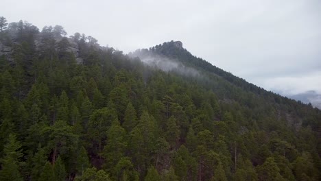 aerial view of eagle cliff mountain with fog over forest trees