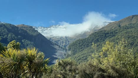 low cloud touching snowy mountain top above temperate rain forest in sunshine