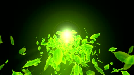 spin of falling green leaves,cg animation,loop