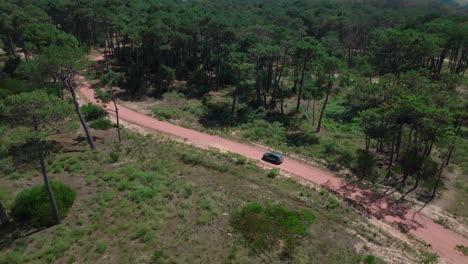 Adventure-awaits-as-the-truck-drives-through-a-sunny-gravel-road-amidst-a-pine-forest