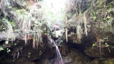 Parque-Nacional-Oasis-Isalo,-Madagascar