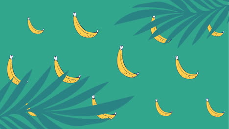 animation of yellow bananas pulsating in formation over palm leaves on green background