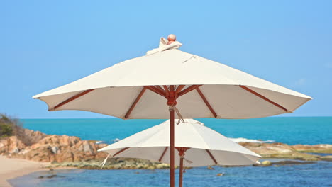 two isolated white sun umbrellas on empty beach with sea and rocks in background