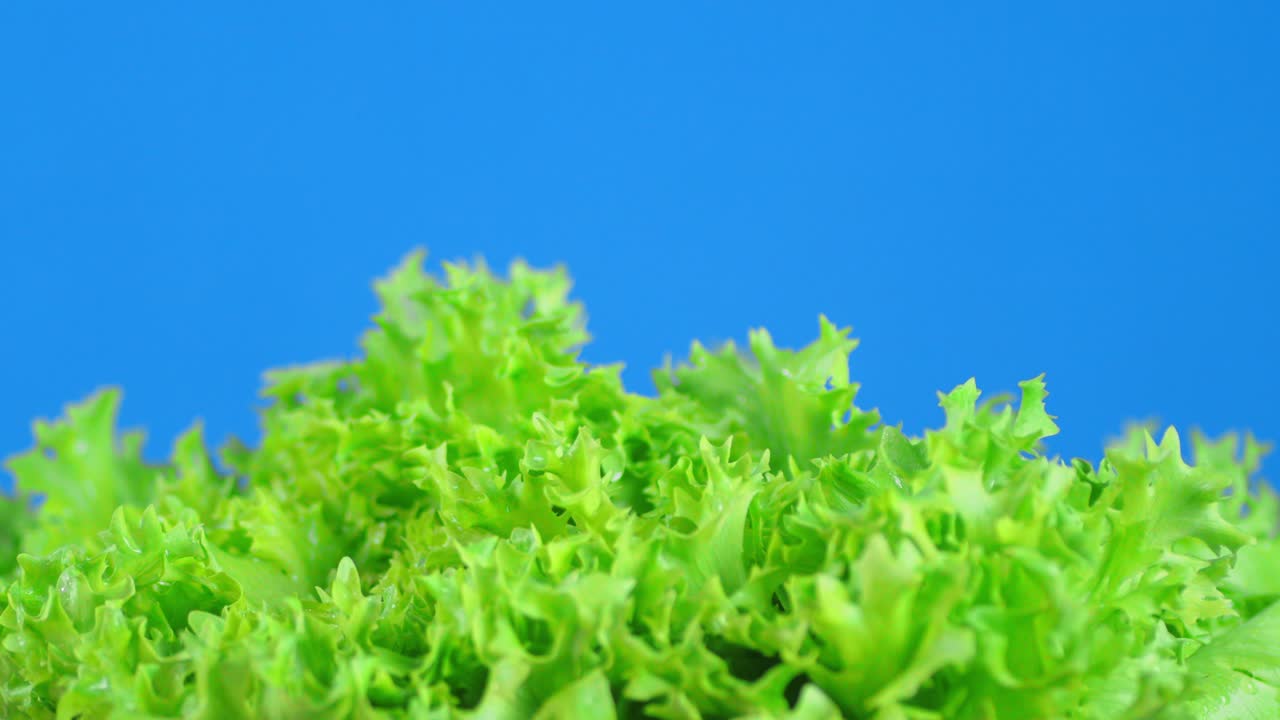 Fresh salad leaves slowly rotates.
