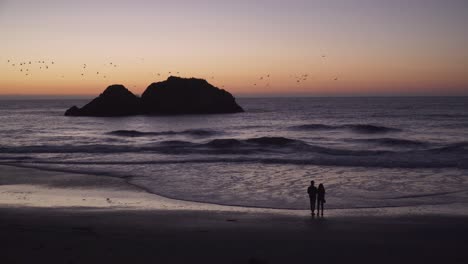 a couple enjoy their evening by the sea in san francisco, california