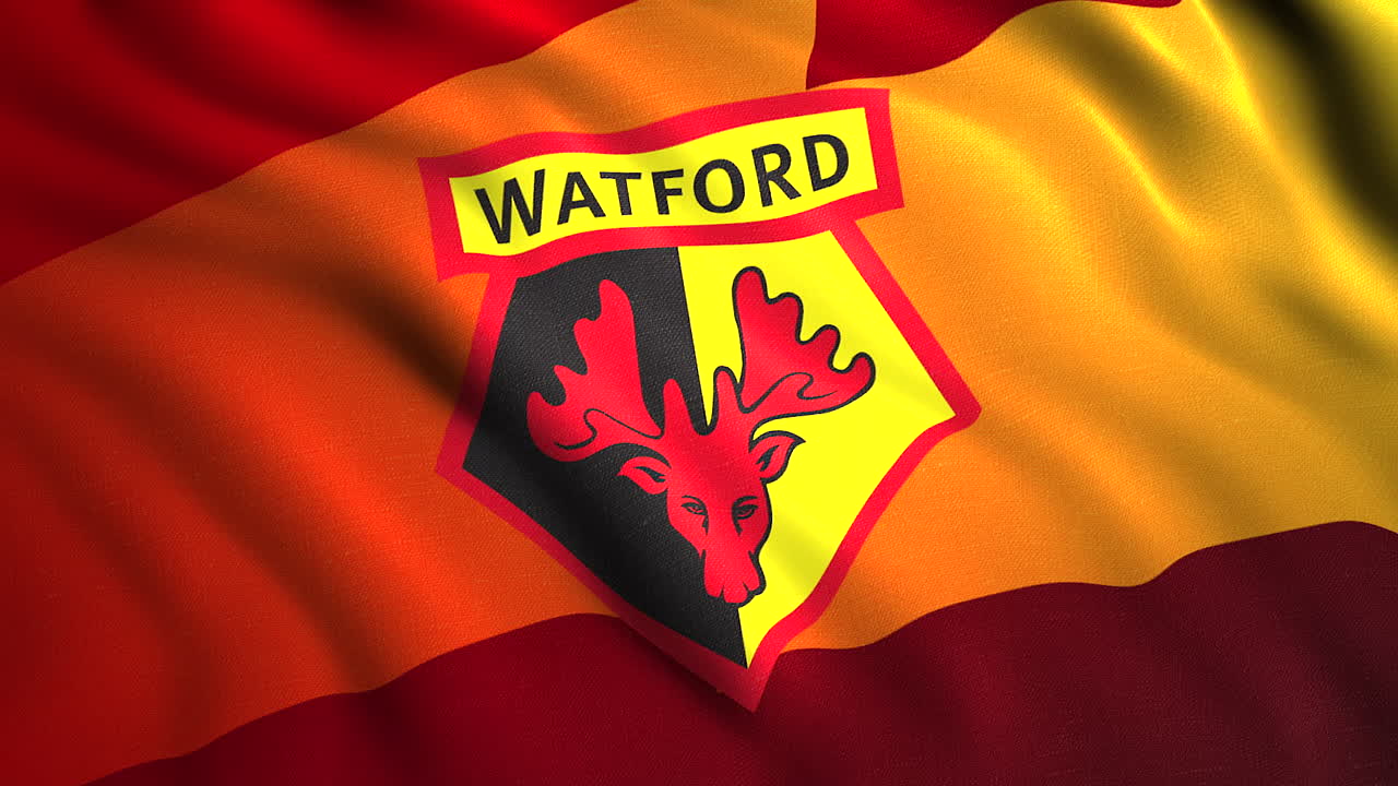 포드 축구 클럽 발