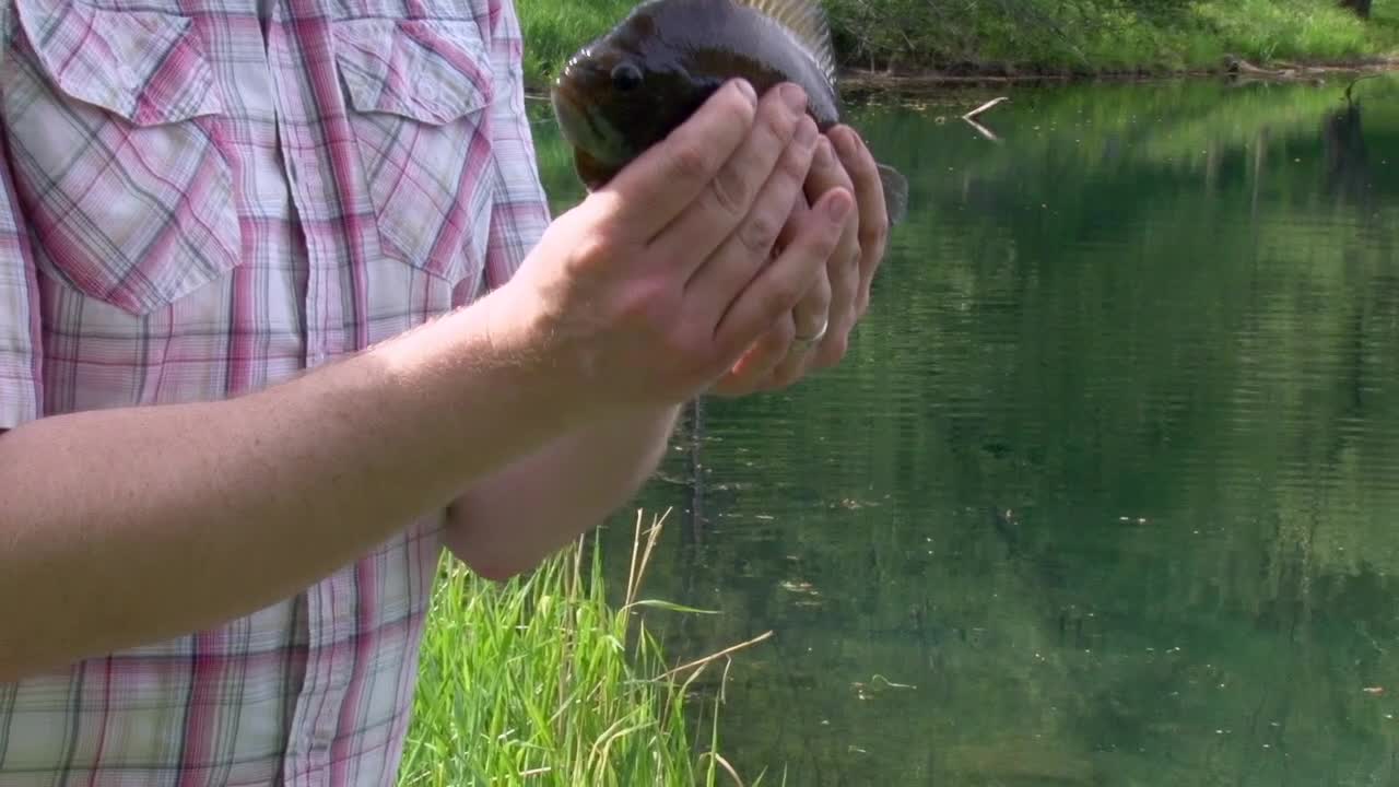 손 에 물고기 를 들고 있는 연못 에 있는 사람 - 근접