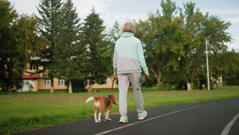 canine specialist walking down track road holding leather leash tied around neck of pet dog during peaceful outdoor stroll, surrounded by lush green field, trees, and soft cloudy sky in background