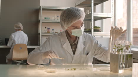 scientists conducting plant research in a laboratory