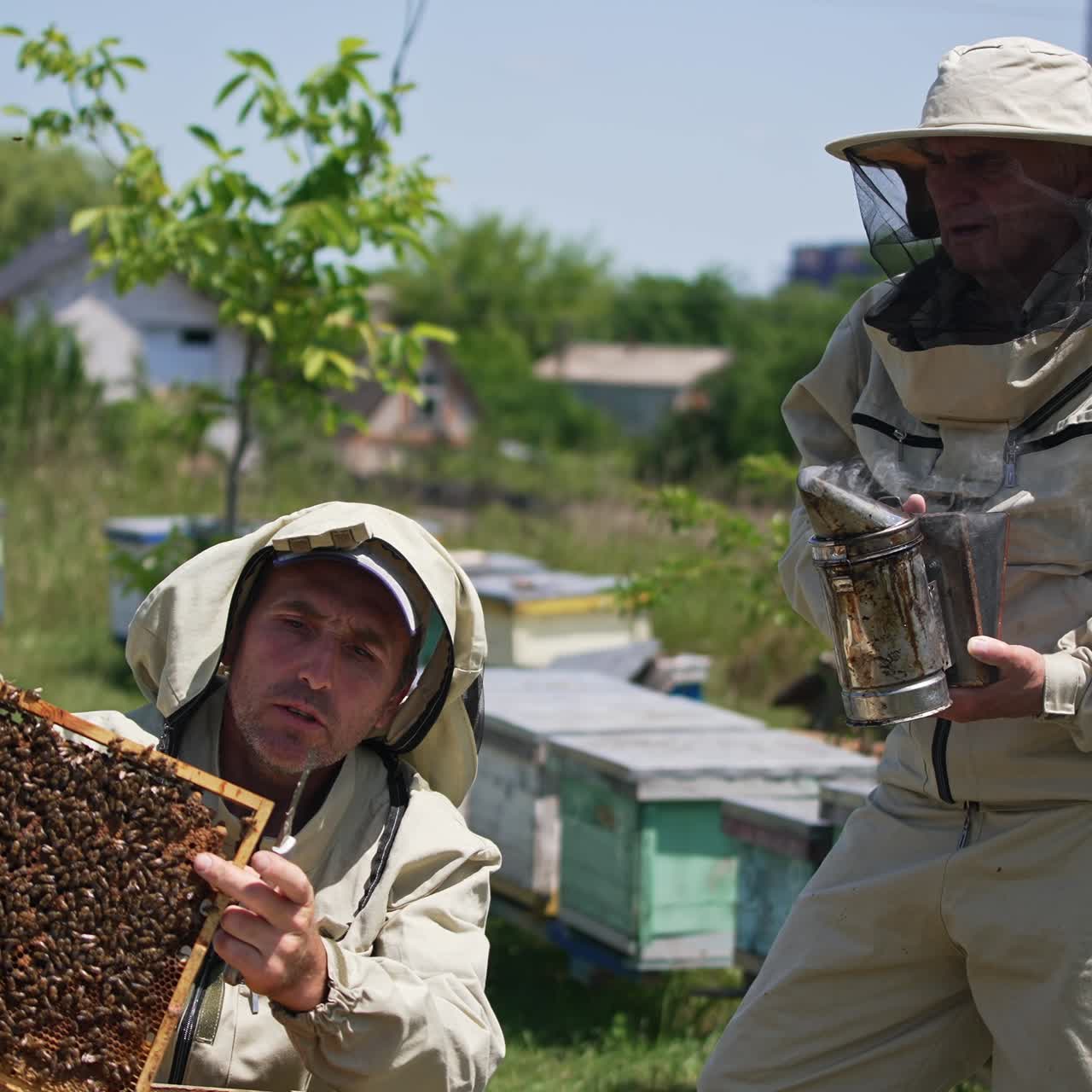 Apiculturist using knife in his work at apiary. Older colleague holding a smoker in his hands. Wooden hives at backdrop in blur