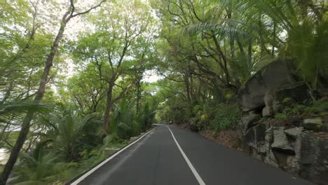 conduciendo en un camino increíble entre el bosque y la vegetación exuberante, rocas y árboles a ambos lados de la carretera, mahe seychelles 2