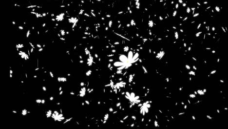 white cosmos falling particles motion graphics