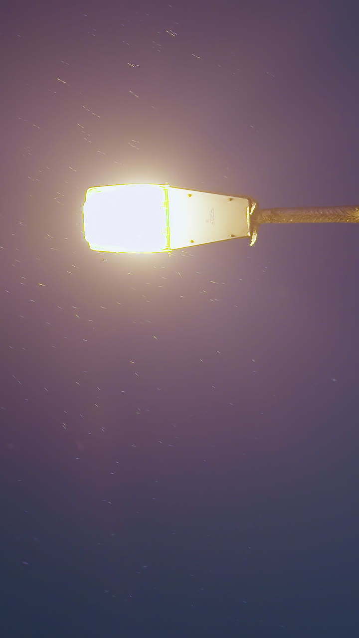 poste de utilidad con cables entrelazados y conectores siluetado contra un cielo de crepúsculo azul profundo con copos de nieve volando, con vista parcial de ramas de árboles desnudas