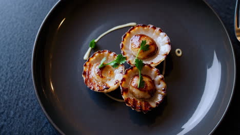 gourmet seared scallops appetizer