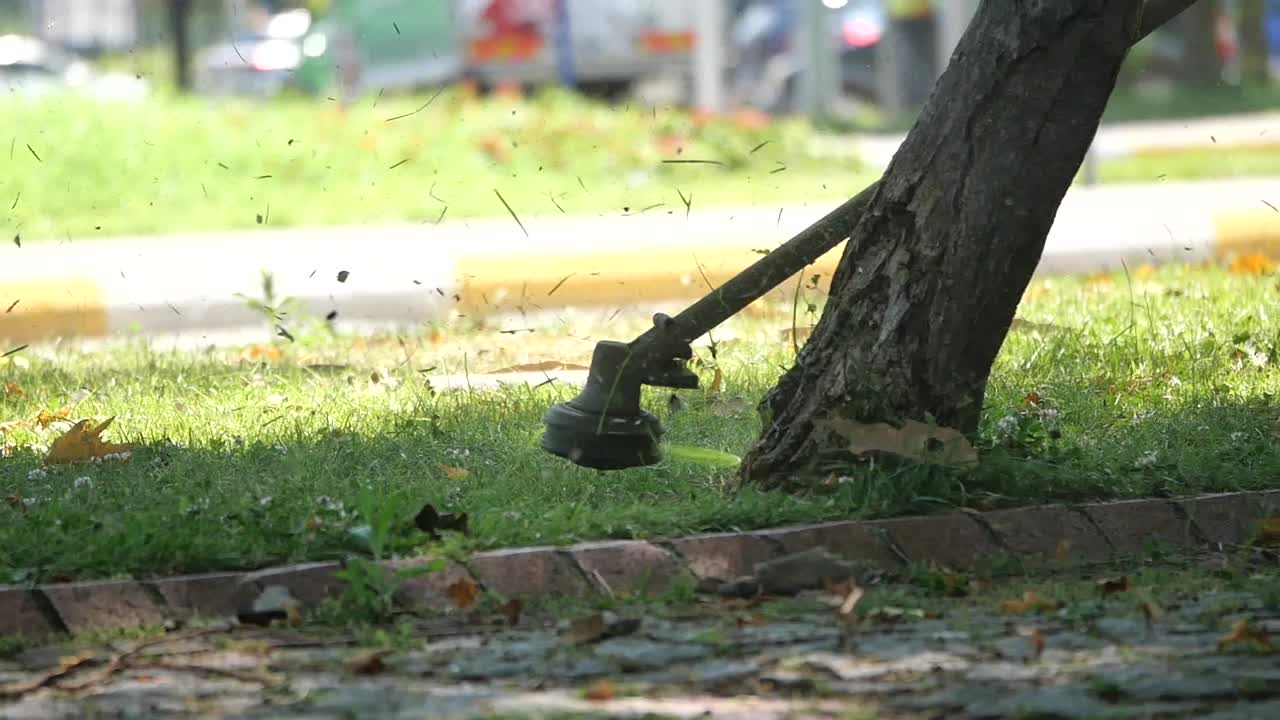 Man Using a String Trimmer in a Park