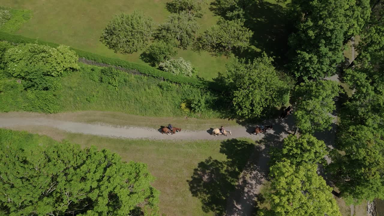 Aerial shot of horses walking on a stone path by a canal. In Stockholm
