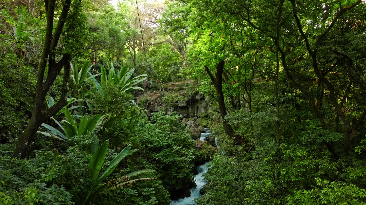 DRONE SHOT OF URUAPAN, MICHOACÁN NATIONAL PARK CUPATITZIO RIVER BETWEEN THE TREES