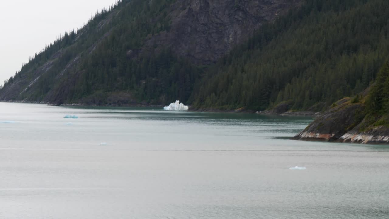 Sailing down at Endicott Arm fjord, heading to Dawes Glacier, Alaska.