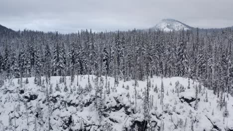 emerging over a snowy rock covered hill top to reveal a cold and peaceful snow-covered forest scene