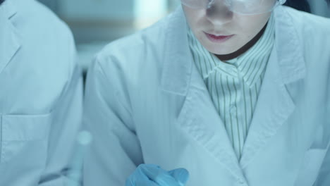 two microbiologists studying bacteria in petri dish and talking in lab