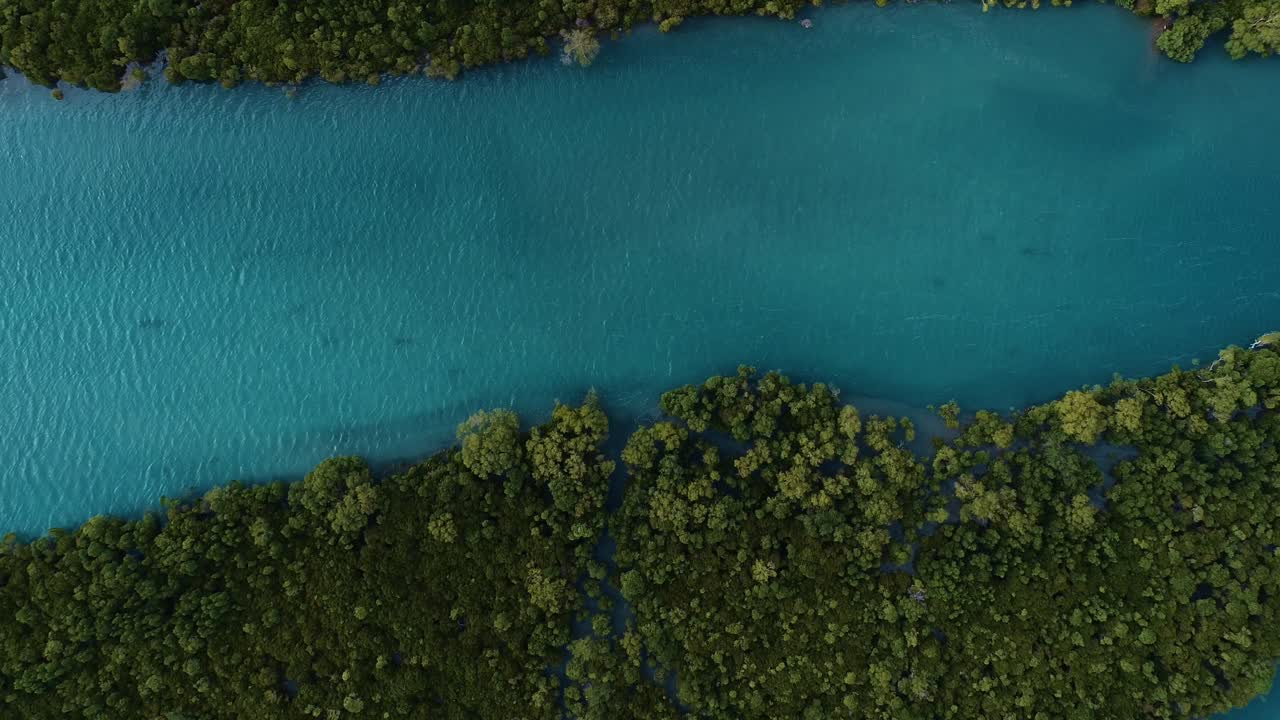 다르에스살람의 맹그로브 습지 조감도