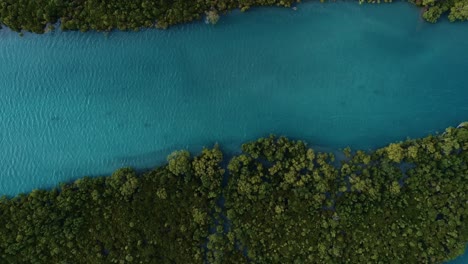 aerial view of the mangrove swamps , city of dar es salaam