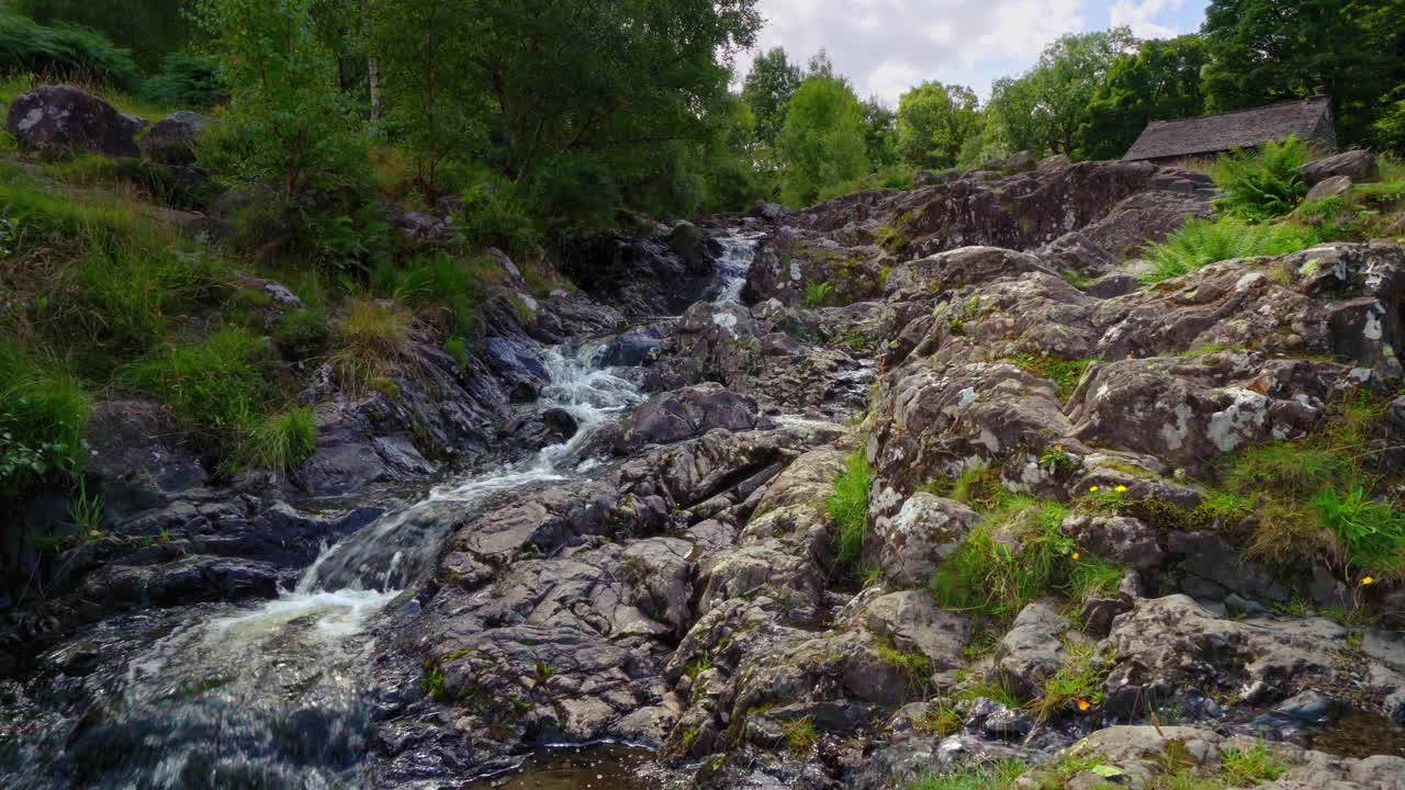 Ruscello boschivo che scorre lentamente con felci sulla riva e acqua che scorre sulle rocce. Ripreso in Cumbria, nel Lake District, Inghilterra