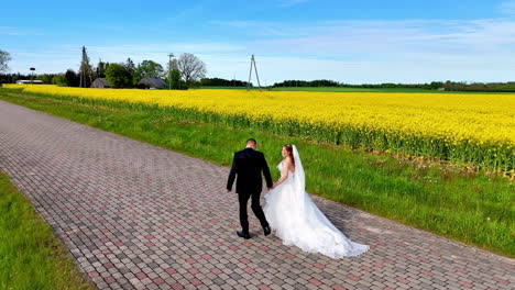 bride in elegant white gown and groom in black suit walk away hand in hand down a cobblestone country road, bordered by endless golden fields under clear blue skies