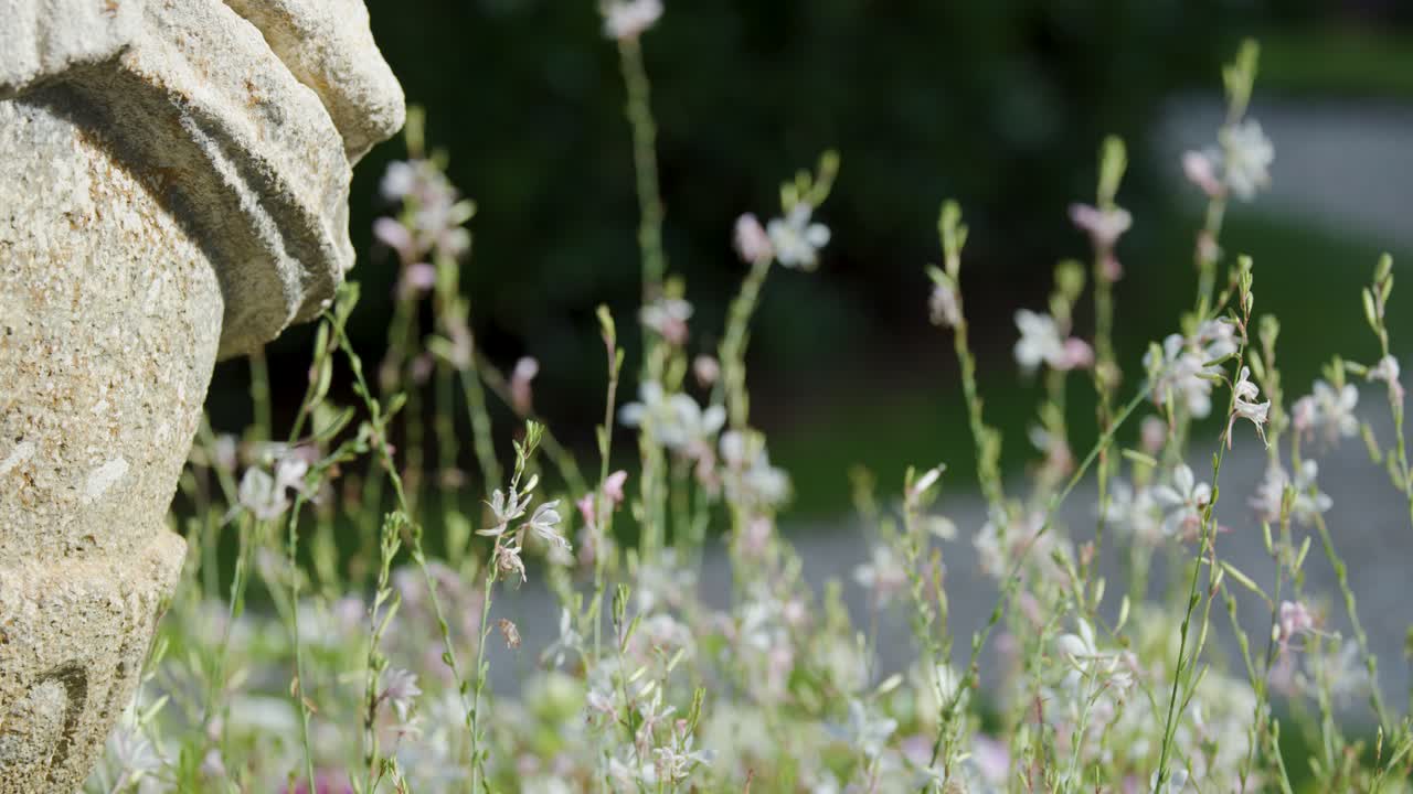 Insects fly and hover over blooming flowers beside a stone structure in a lush garden