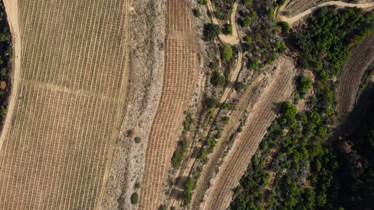 vista aérea de un paisaje de viñedos