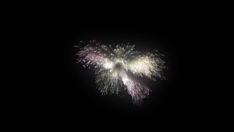 Champagne-fireworks-exploding-on-black-background-screen,-starting-from-center-of-the-screen-and-forming-triple-bang-explosions