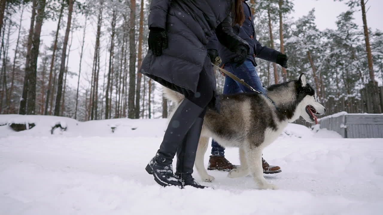 estilo pareja joven divirtiéndose en el parque de invierno cerca del lago con su amigo perro husky en un día brillante abrazándose y sonriendo