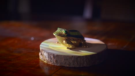 Material : silver and gold-plated. Beautiful and luxurious shiny model frog on a wooden presentation base. A unique expensive decorative collection