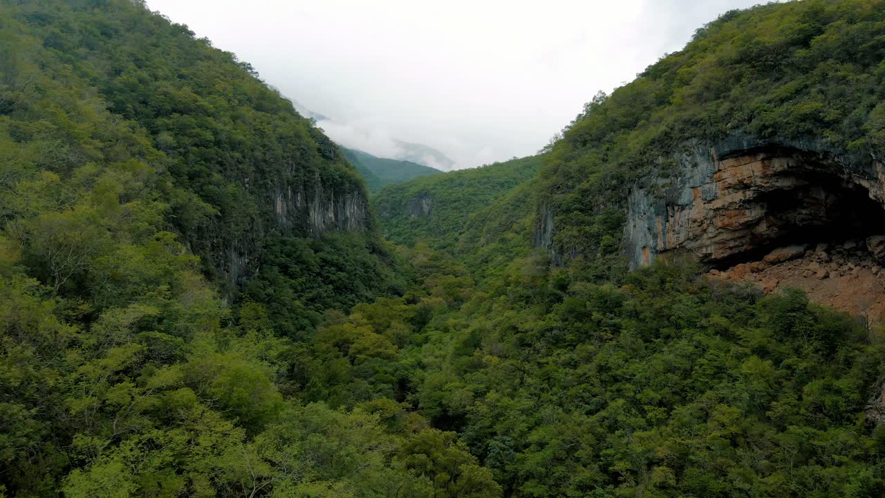 Beautiful canyon in the mountains covered with trees with Rocky cliffs and a huge cave in the rocks, drone footage