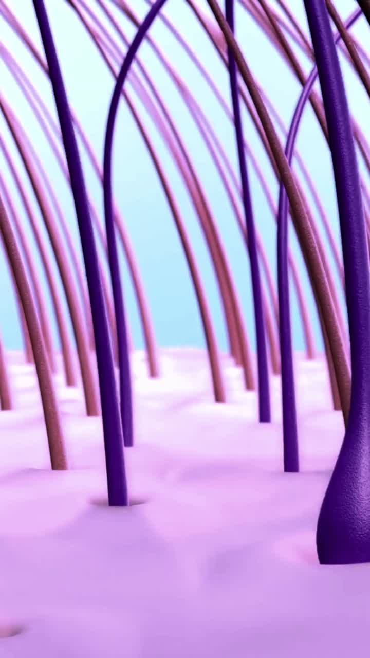 Animazione 3D del ciclo di crescita e perdita del follicolo pilifero