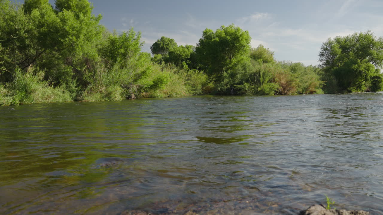 Fiume salato del deserto che attraversa un paesaggio arido con onde al rallentatore e alberi verdi