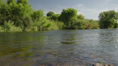 río de sal del desierto que atraviesa un paisaje árido con olas en cámara lenta y árboles verdes
