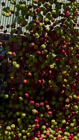 apples falling on buildings