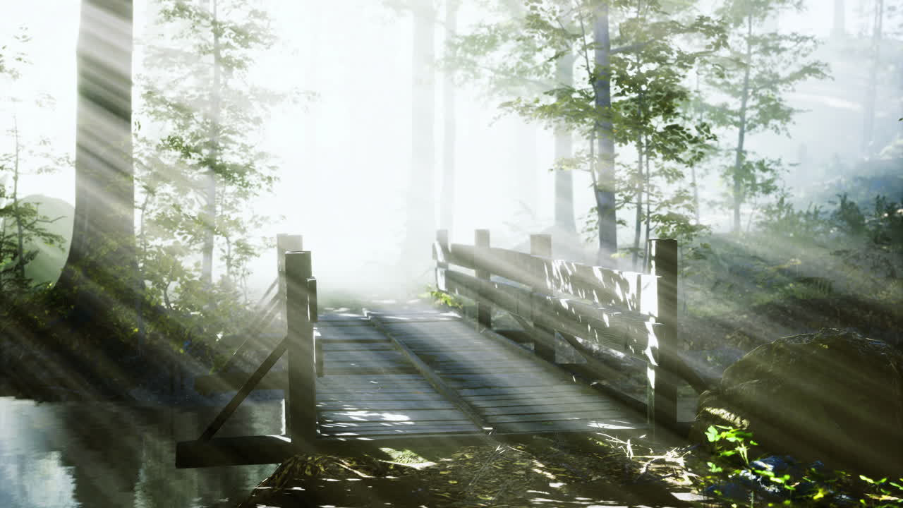 Morning fog envelops a serene forest bridge bathed in soft sunlight
