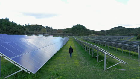 One-man-walks-between-many-rows-of-solar-panels-in-a-green-field-during-a-sunny-day