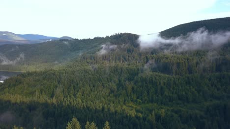 tracking aerial drone shot revealing the varying landscapes of the romanian mountains in valea draganului