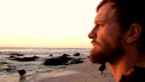 male surfer standing in the beach 4k