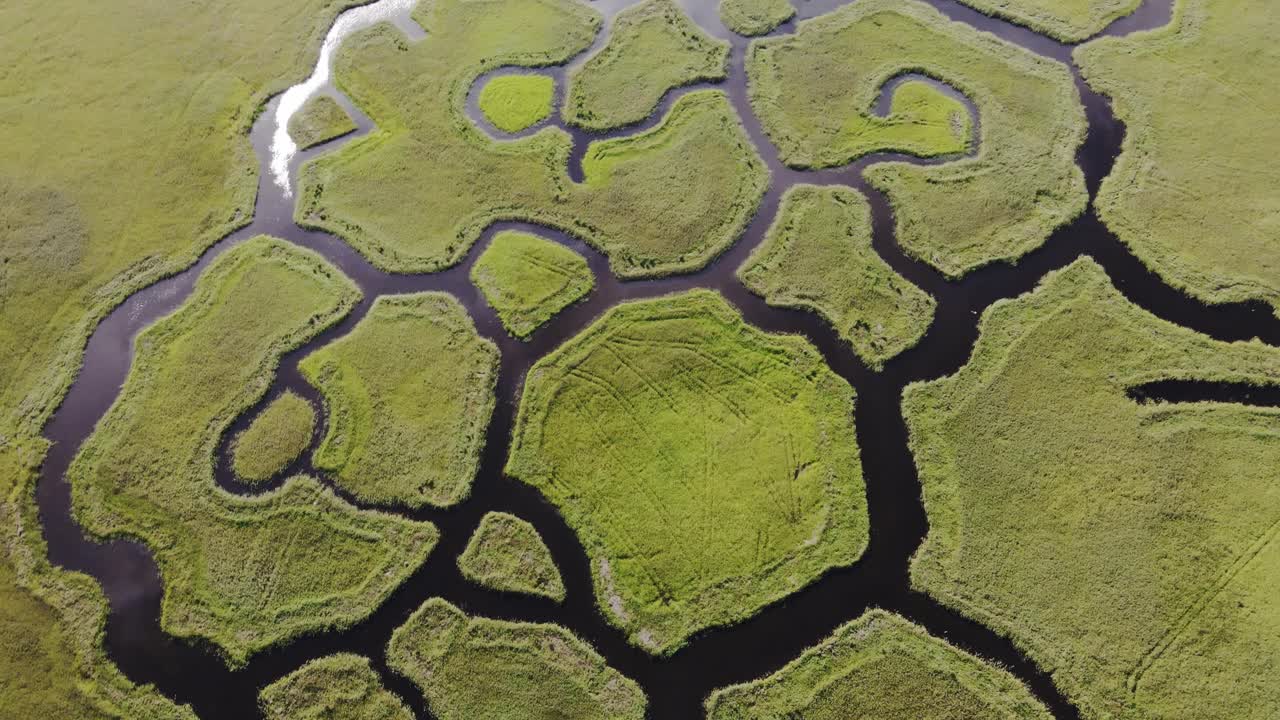 Engure Lake canal system forms striking patterns, wetlands, fostering wildlife