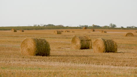 incline-se sobre fardos de feno nas planícies de north dakota