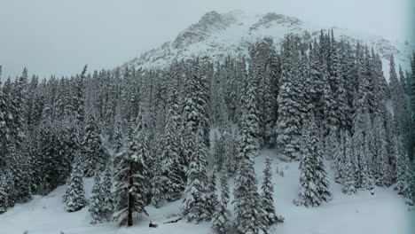 Cinematic-aerial-Colorado-winter-spring-deep-powder-snow-snowing-covered-trees-Loveland-Ski-Resort-Eisenhower-Tunnel-Coon-Hill-backcountry-i70-heavy-Continential-Divide-Rocky-Mountains-slow-forward