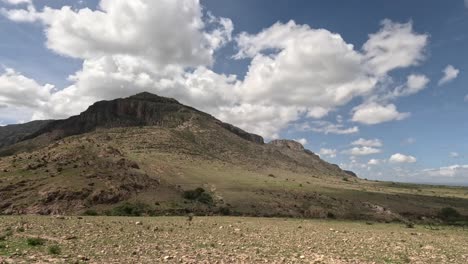 desiertos mexicanos con luz amarilla que significa nube y vida