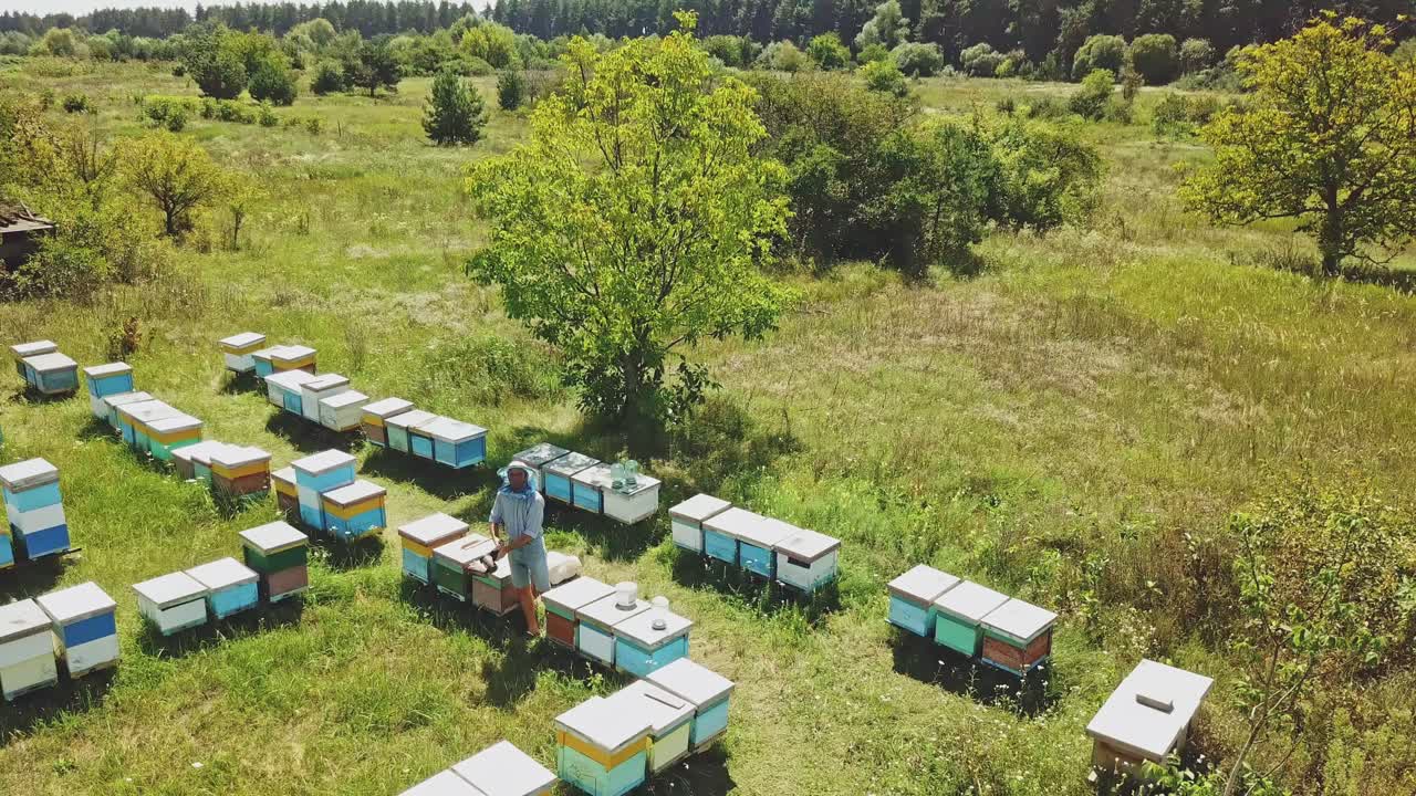 An aerial fly in drone shot of a beekeeper harvesting honey from hives. Bee hives in a forest glade