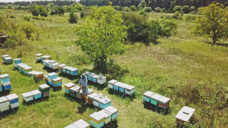 an aerial fly in drone shot of a beekeeper harvesting honey from hives. bee hives in a forest glade